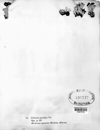 Image Associated With the Occurence